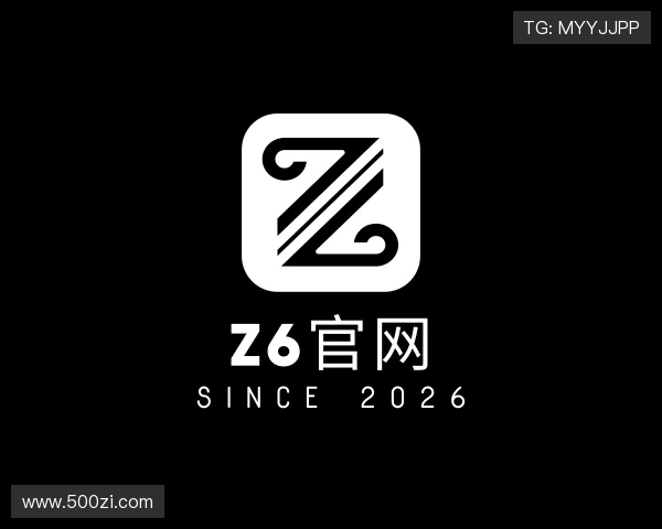 了解Z6官网